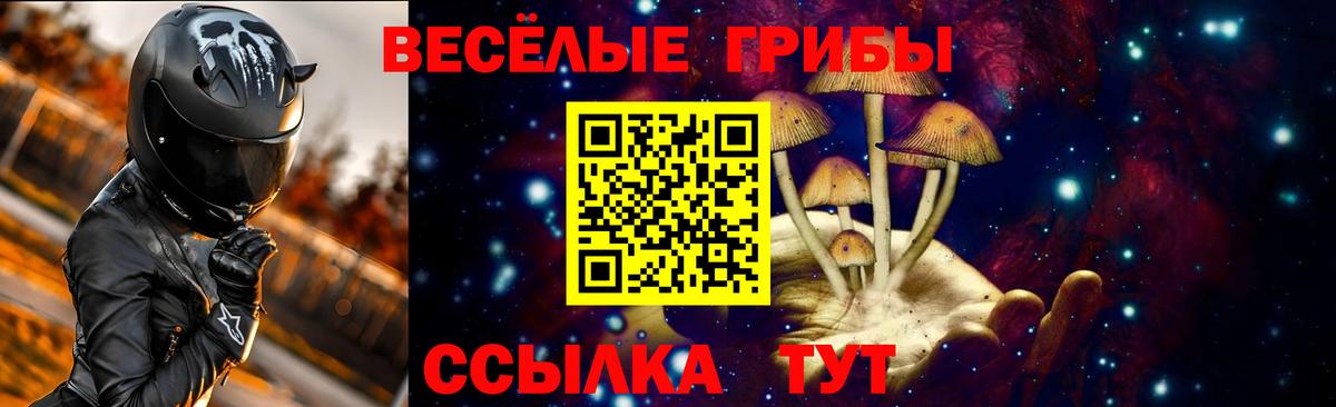 Галлюциногенные грибы Cubensis  Вход с VPN  Астрахань 